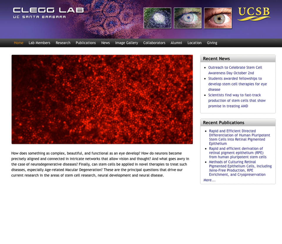 Dennis O. Clegg Lab