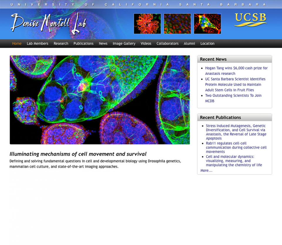 Denise Montell Lab Front Page