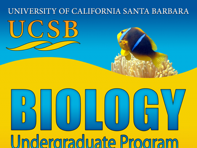 Biology Undergraduate Poster
