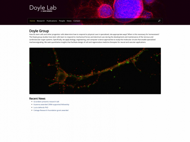 Doyle Group Main Page