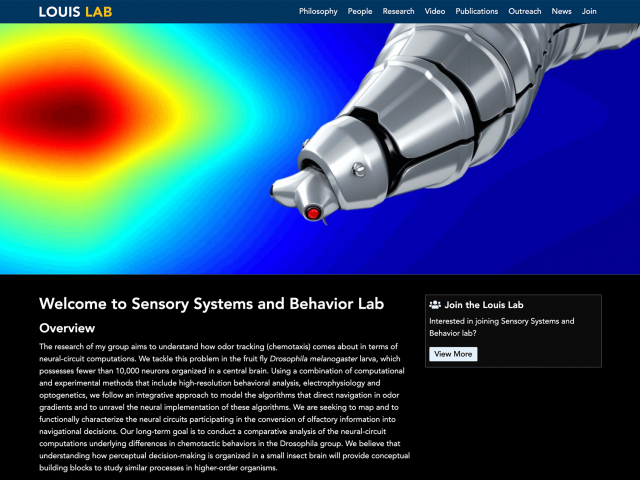 Sensory Systems and Behavior Lab Front Page