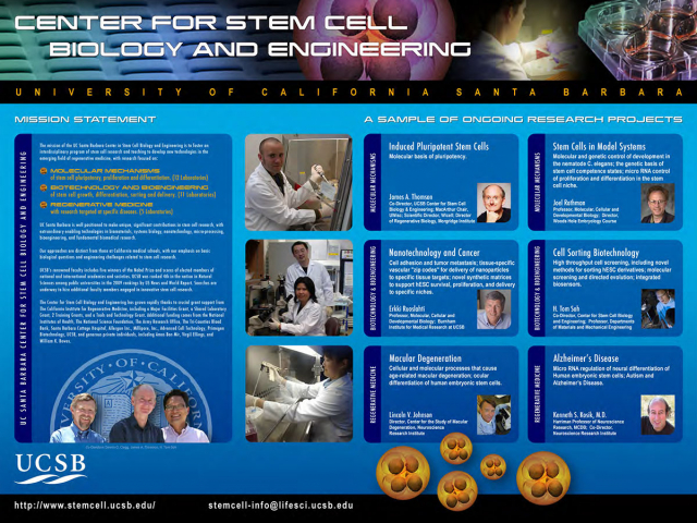 Stem Cell Poster