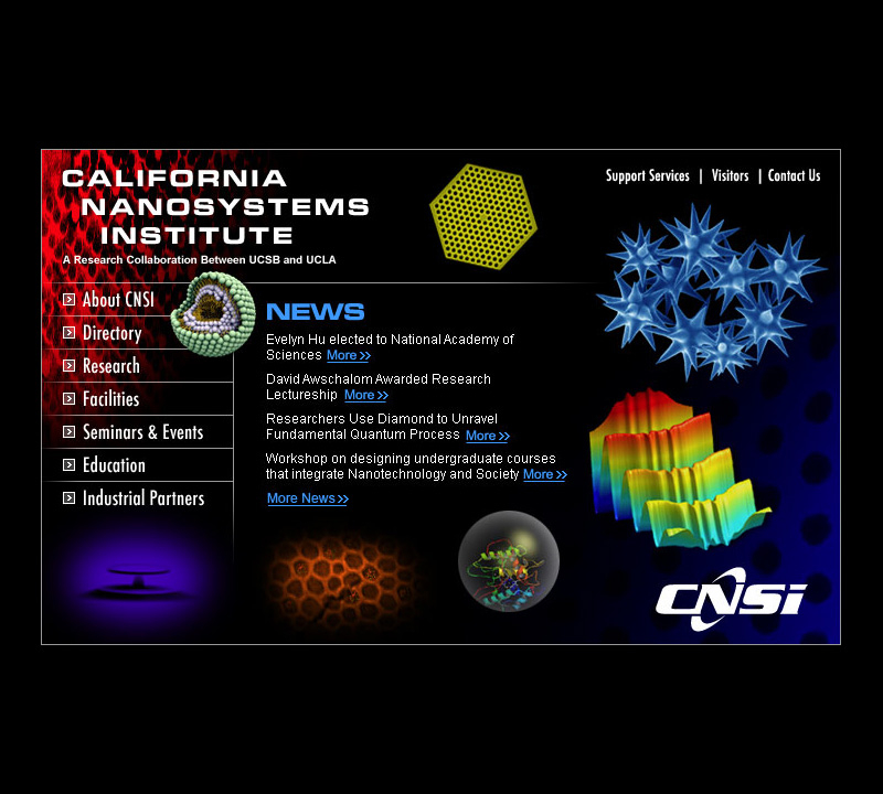 CNSI Main Page 2004 Update