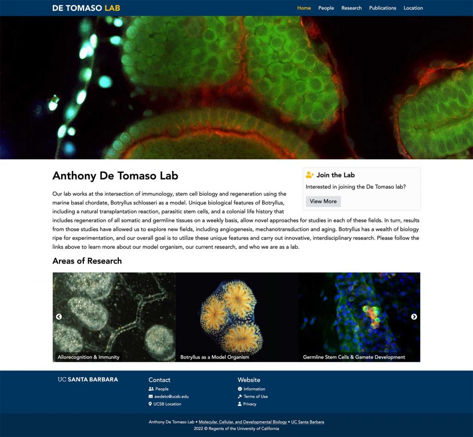 De Tomaso Lab Website