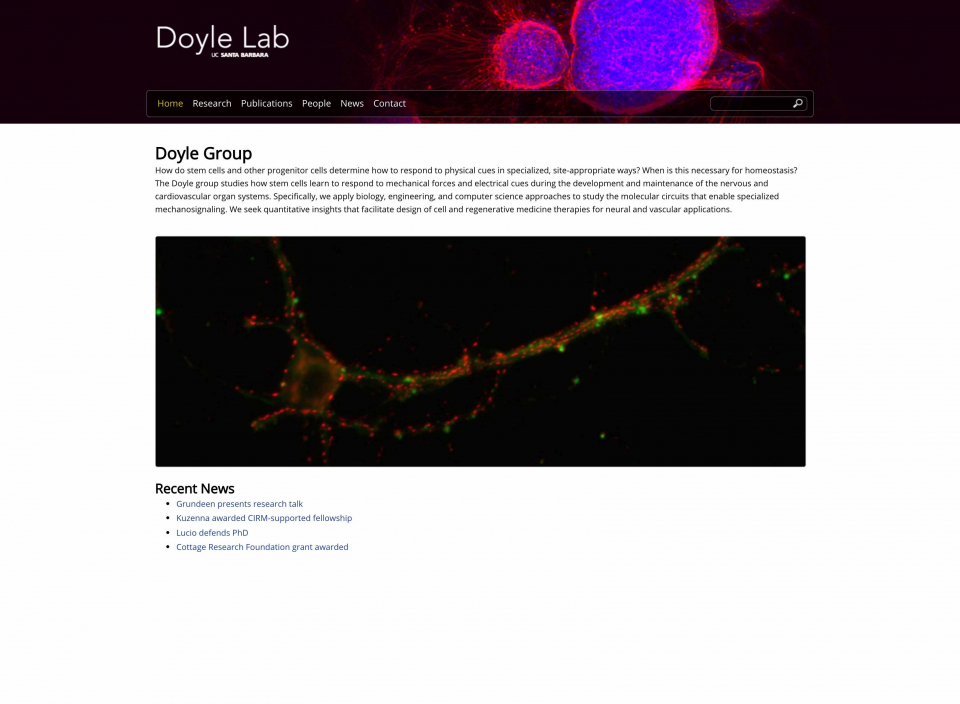Doyle Group Main Page
