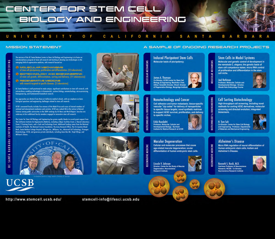 Stem Cell Poster